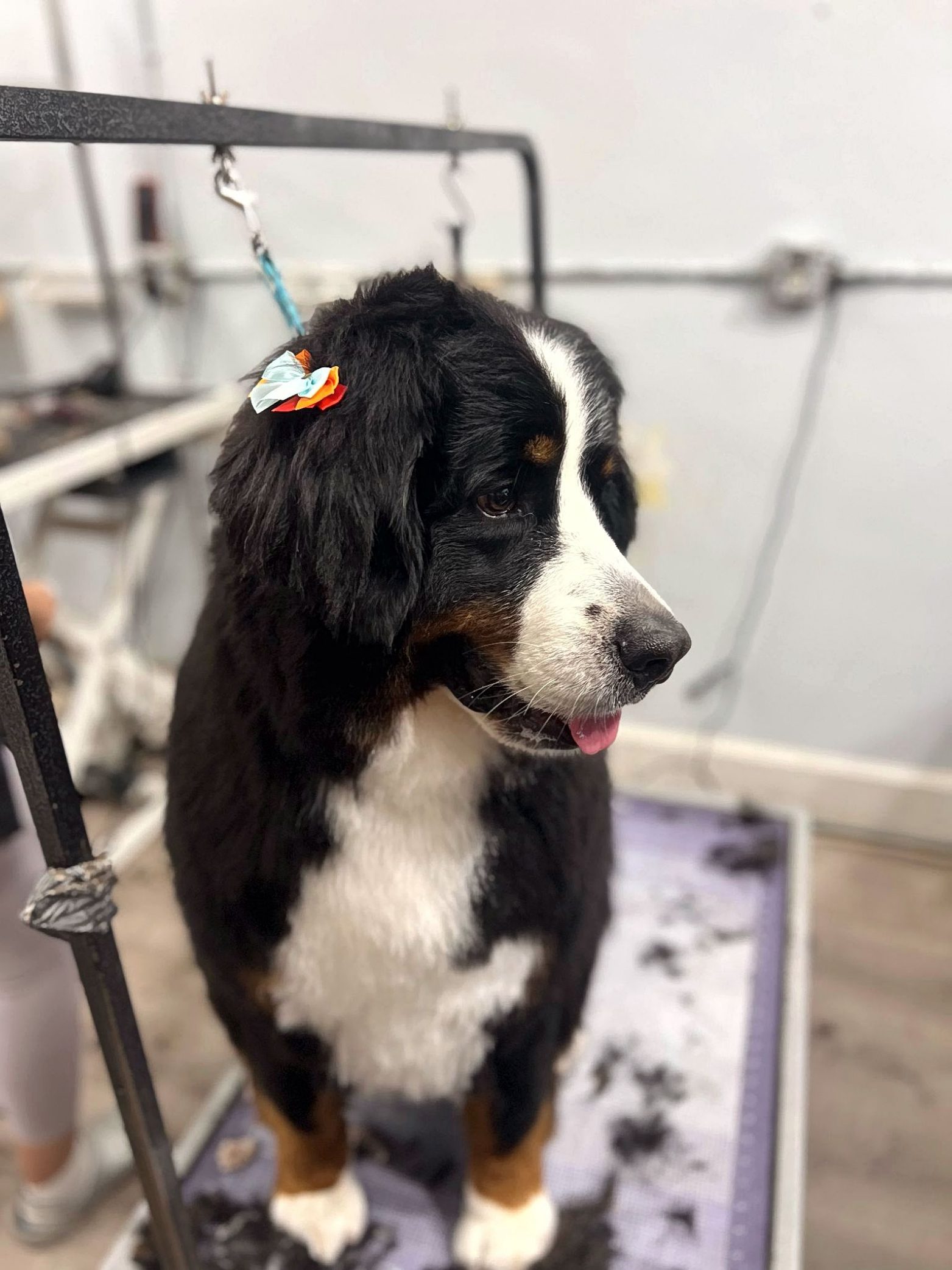 Scanned_20250416-1110 (1)_page-0001