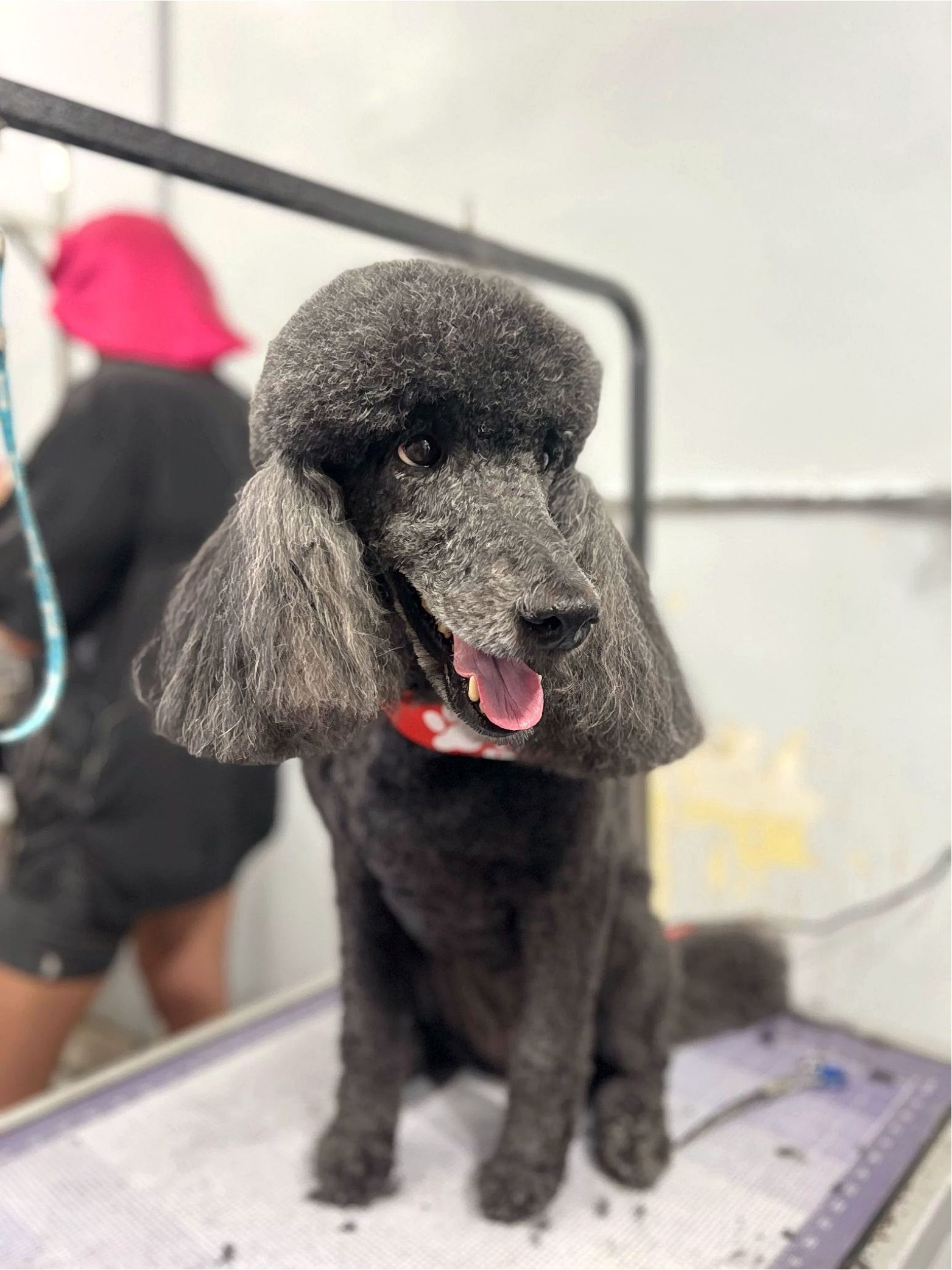 Scanned_20250416-1111 (1)_page-0001