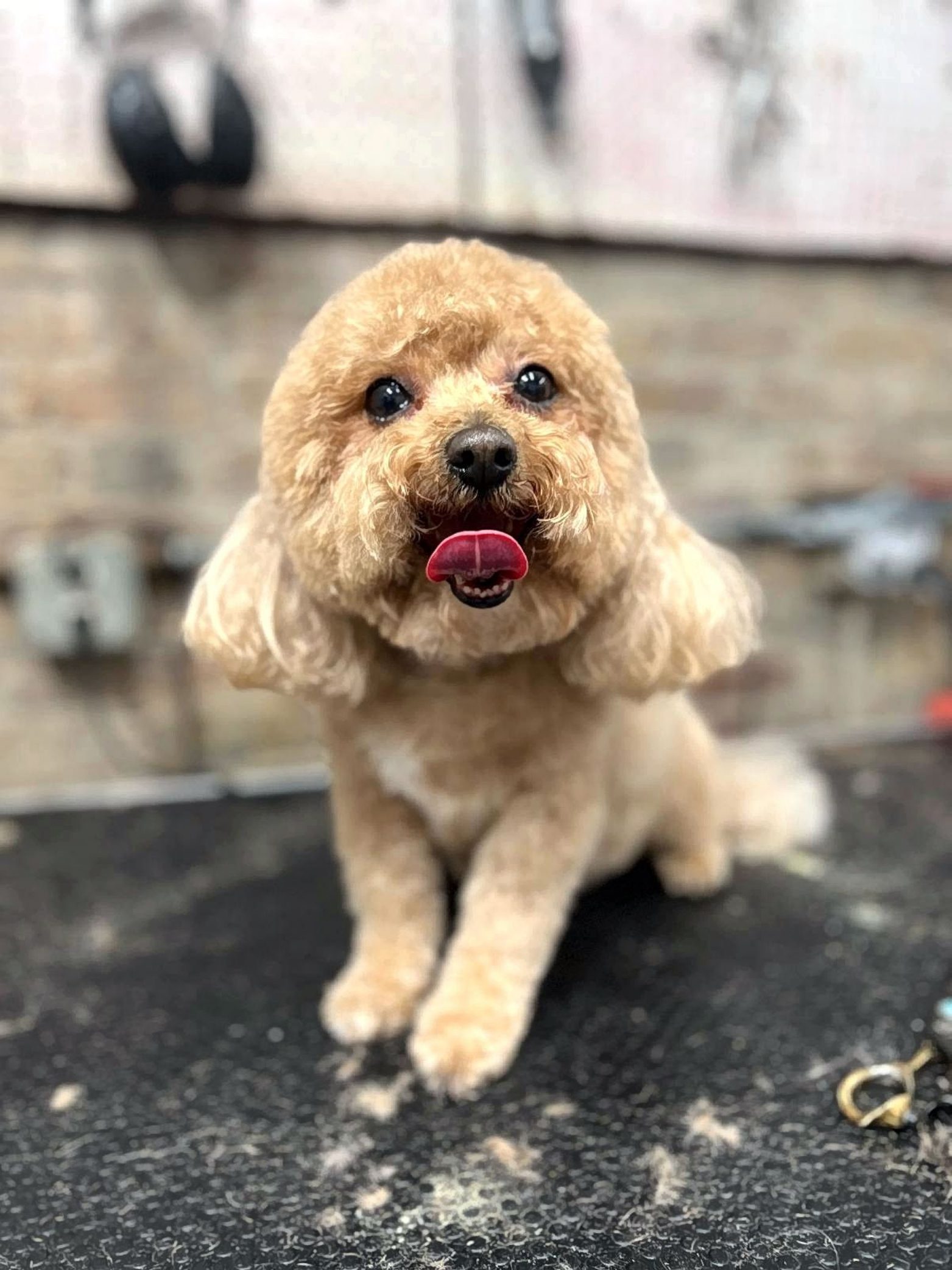 Scanned_20250416-1111_page-0001